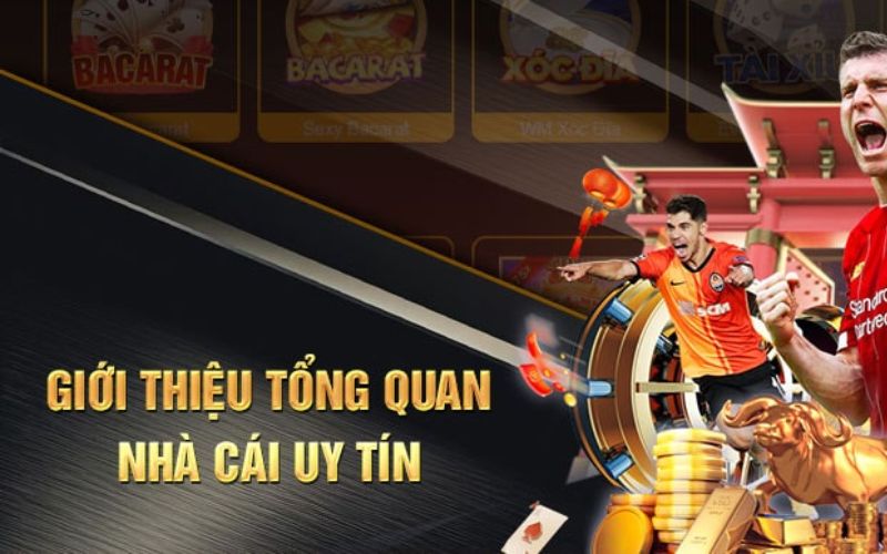 Những khía cạnh NEW88 cần khắc phục